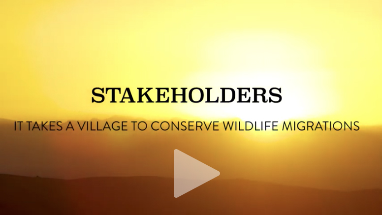 Stakeholders video: click or tap to play